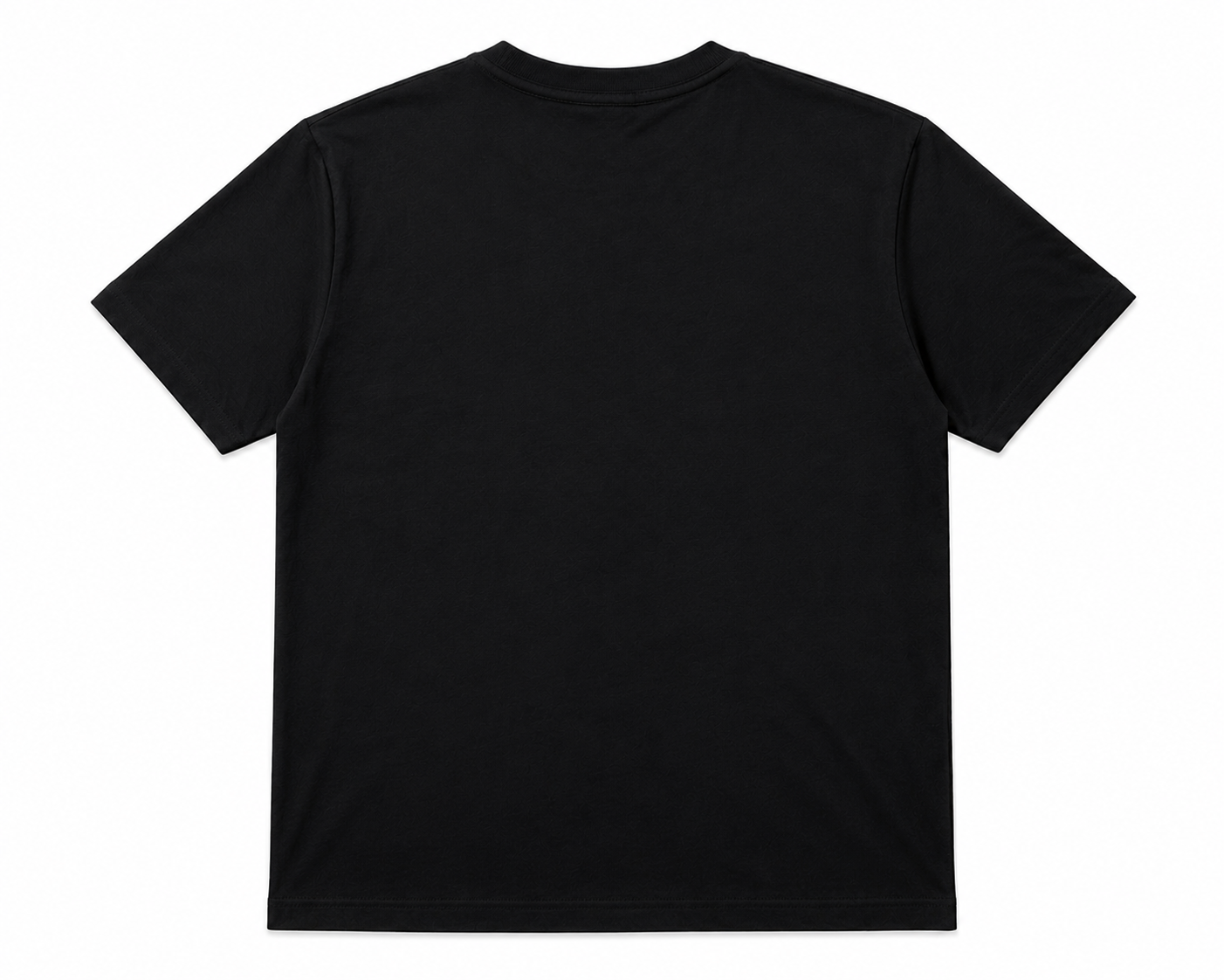 Camiseta NTL LVL UP PRETA
