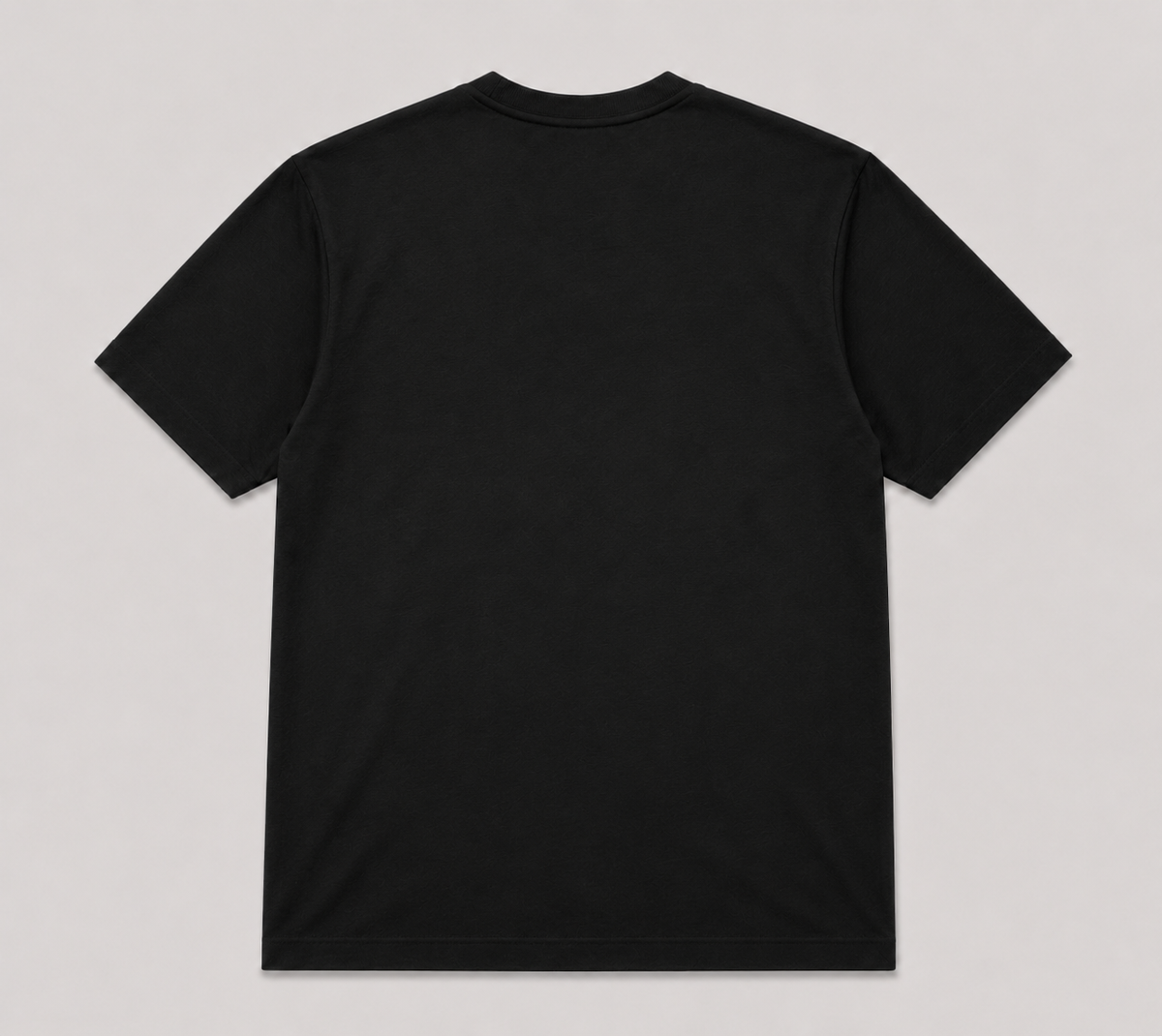 Camiseta NTL Lisa Preta